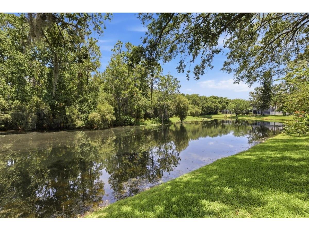4703 Devonshire Boulevard Palm Harbor FL 34685 TB8518529 image45