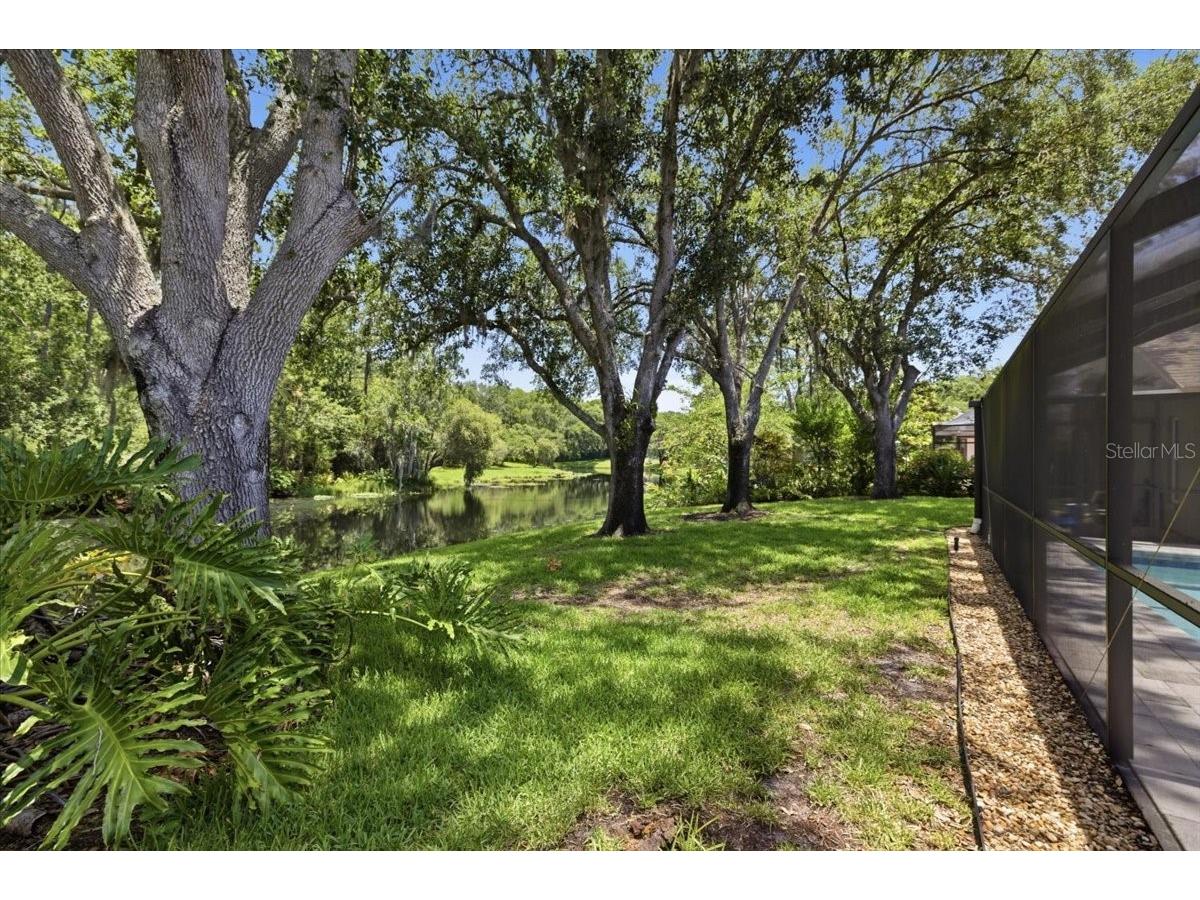 4703 Devonshire Boulevard Palm Harbor FL 34685 TB8518529 image46