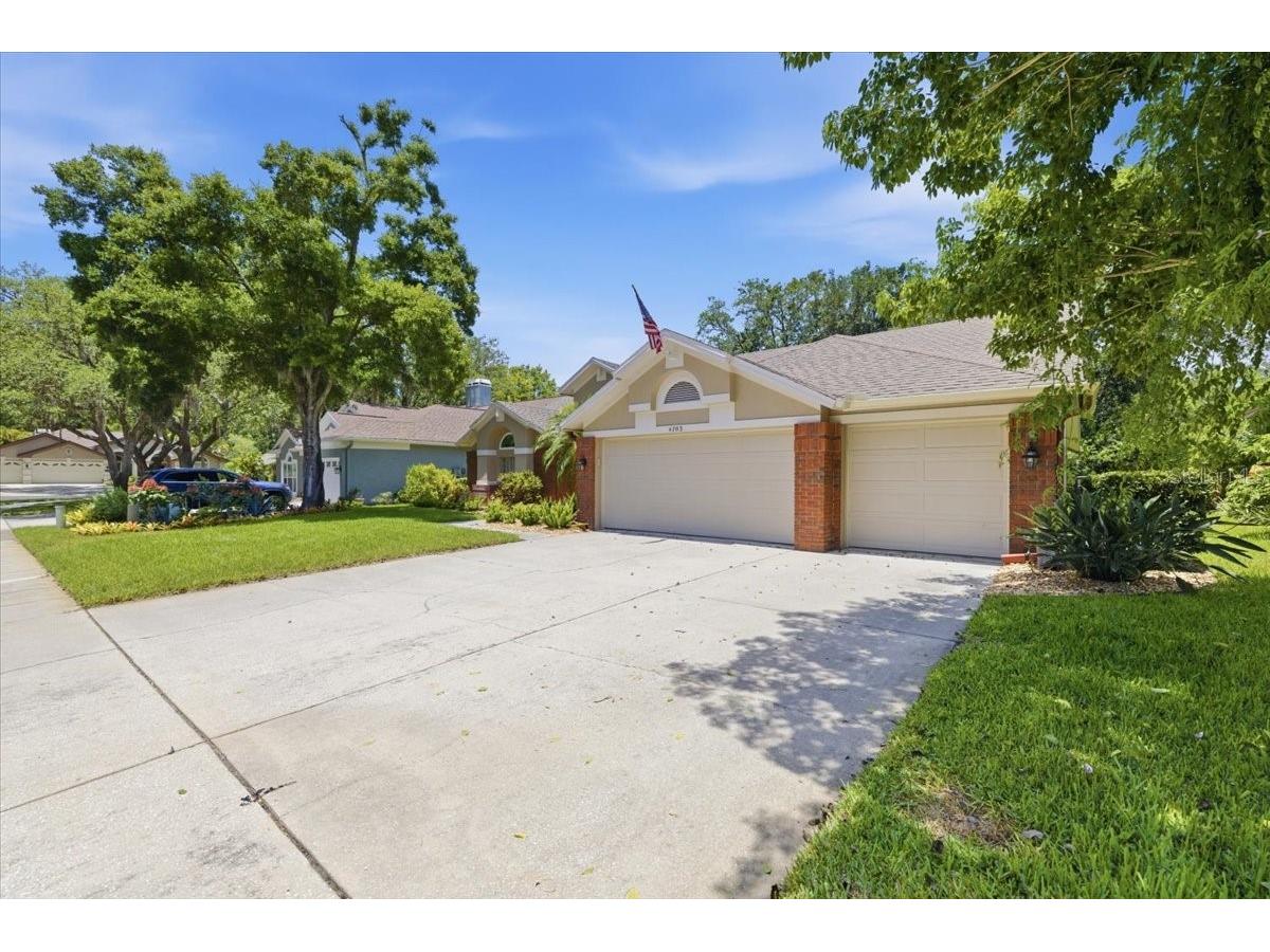 4703 Devonshire Boulevard Palm Harbor FL 34685 TB8518529 image55