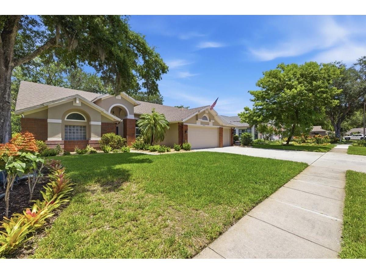 4703 Devonshire Boulevard Palm Harbor FL 34685 TB8518529 image56