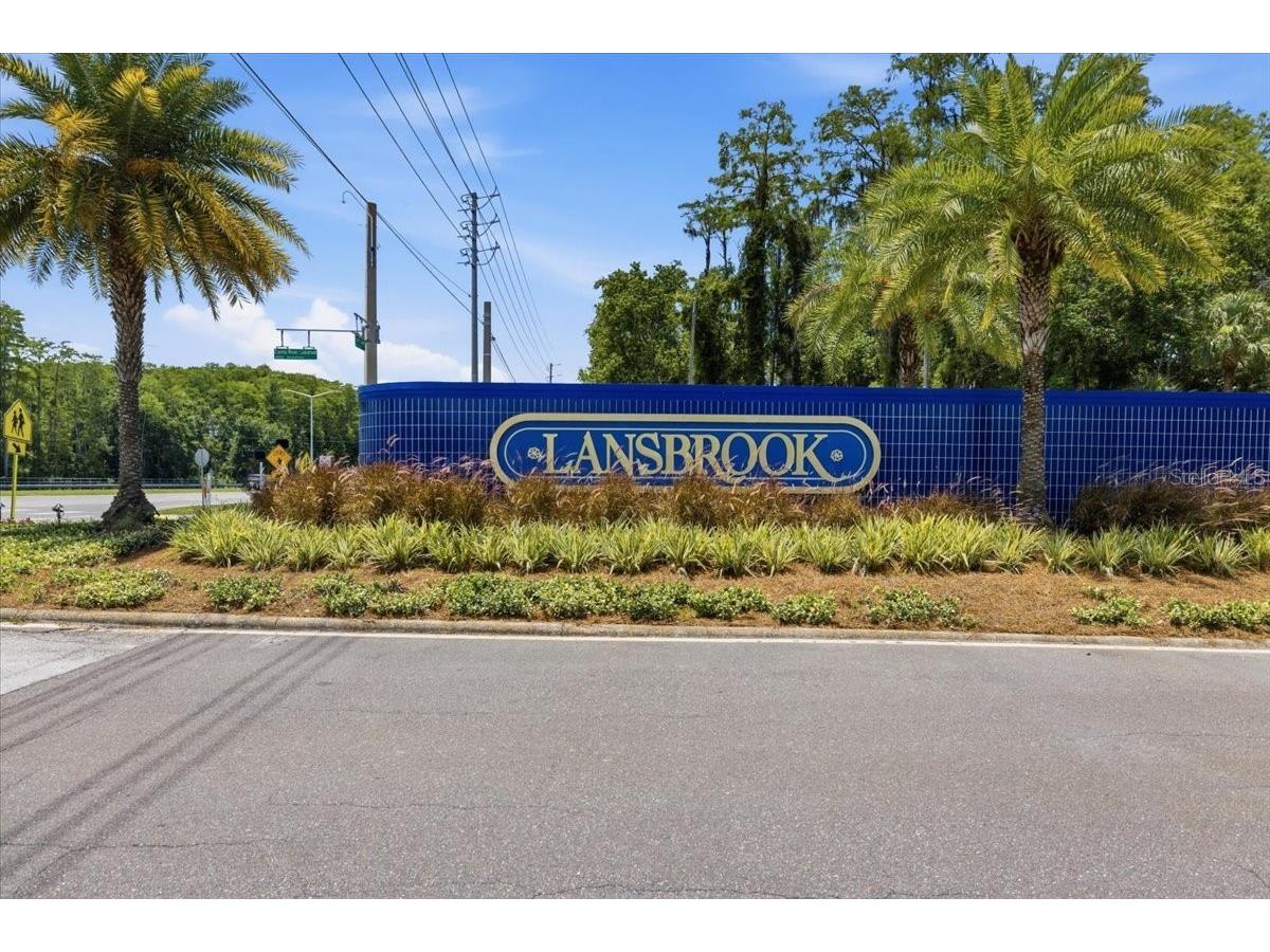 4703 Devonshire Boulevard Palm Harbor FL 34685 TB8518529 image58