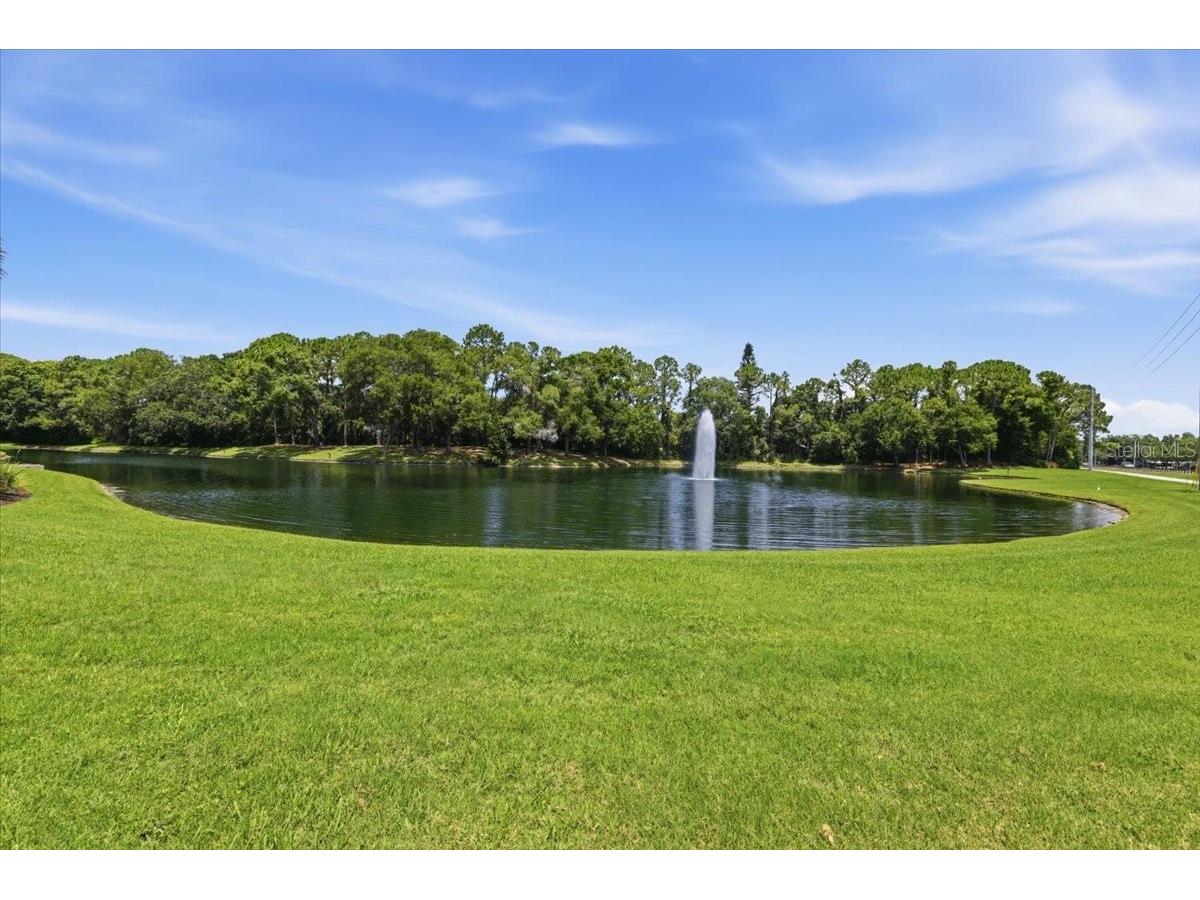 4703 Devonshire Boulevard Palm Harbor FL 34685 TB8518529 image59