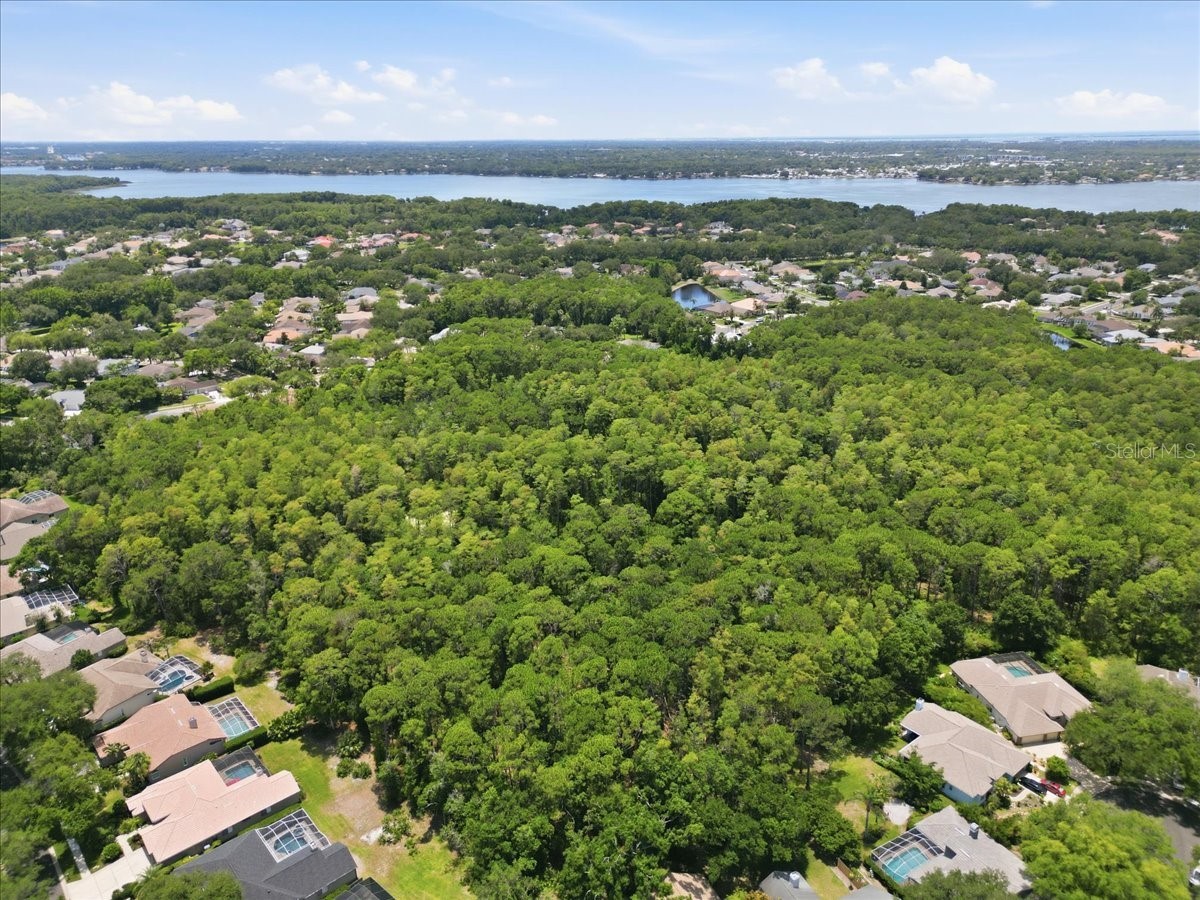 4703 Devonshire Boulevard Palm Harbor FL 34685 TB8518529 image60