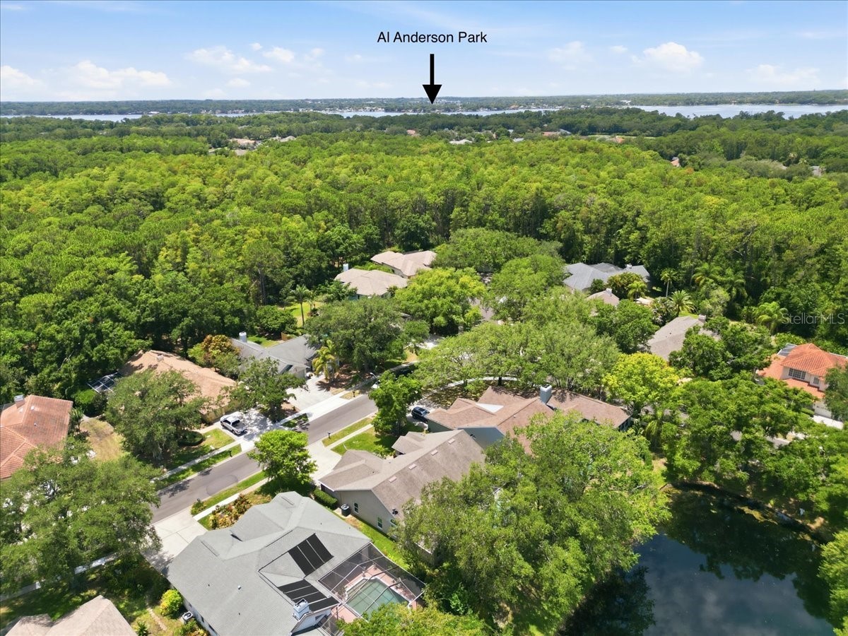 4703 Devonshire Boulevard Palm Harbor FL 34685 TB8518529 image61