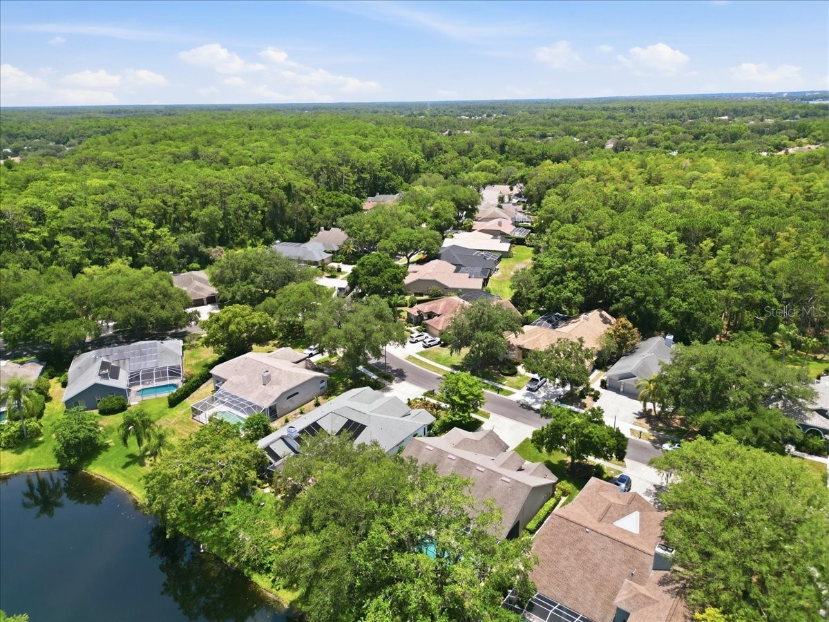 4703 Devonshire Boulevard Palm Harbor FL 34685 TB8518529 image62