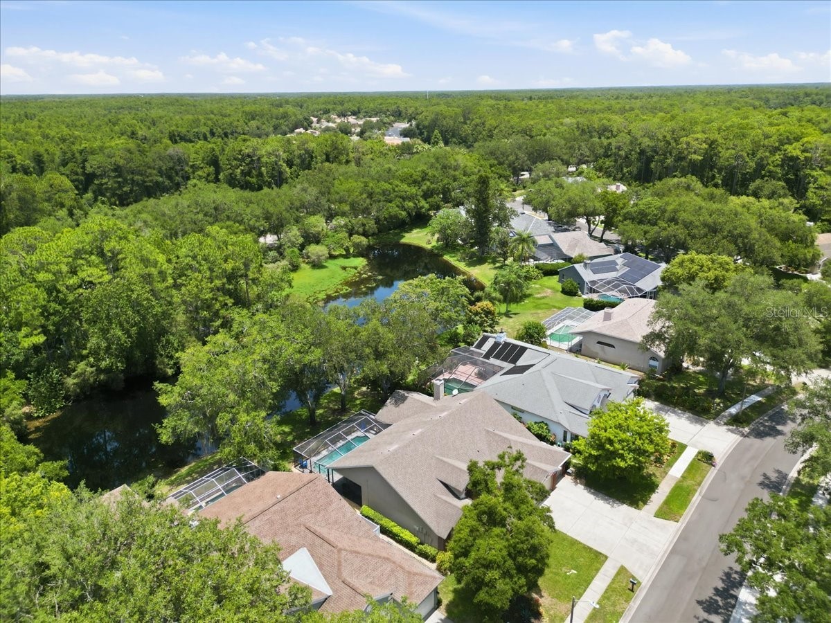 4703 Devonshire Boulevard Palm Harbor FL 34685 TB8518529 image64