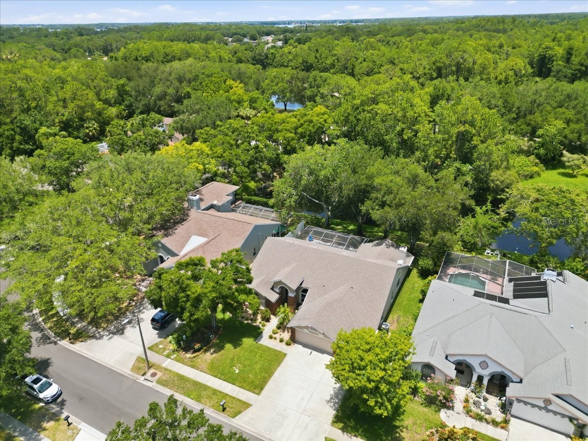 4703 Devonshire Boulevard Palm Harbor FL 34685 TB8518529 image65