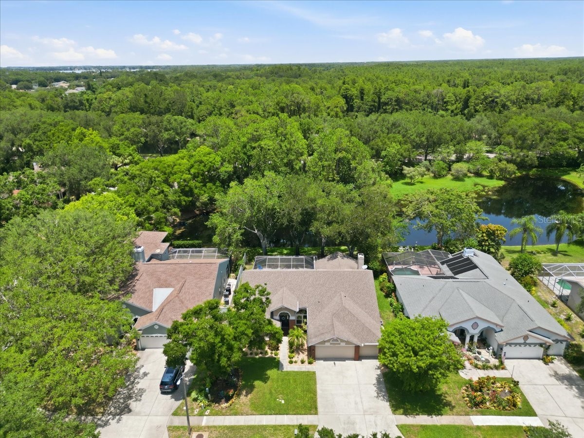 4703 Devonshire Boulevard Palm Harbor FL 34685 TB8518529 image66