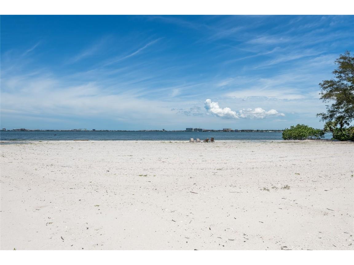 4703 Dolphin Cay Lane S Saint Petersburg FL 33711 - BOCA CIEGA TB8408751 image90