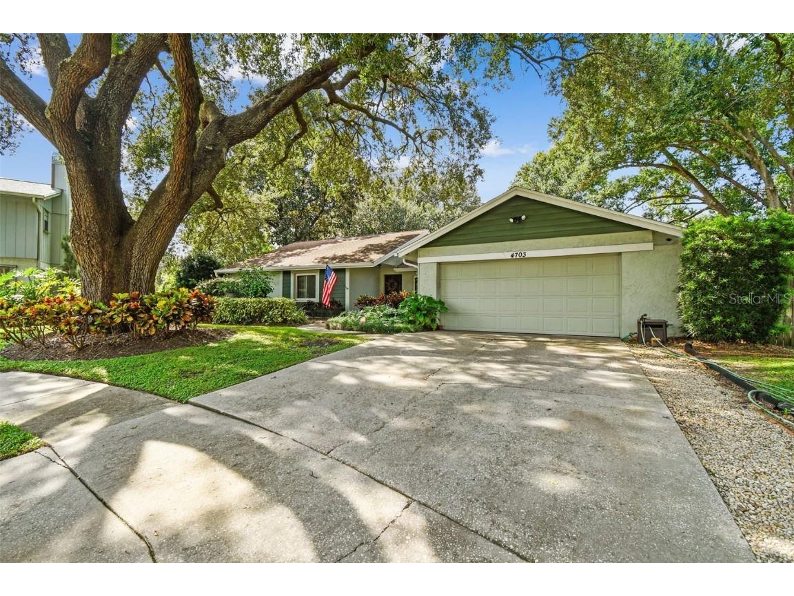 4703 Freshwind Avenue Tampa FL 33624 TB8422324 image1