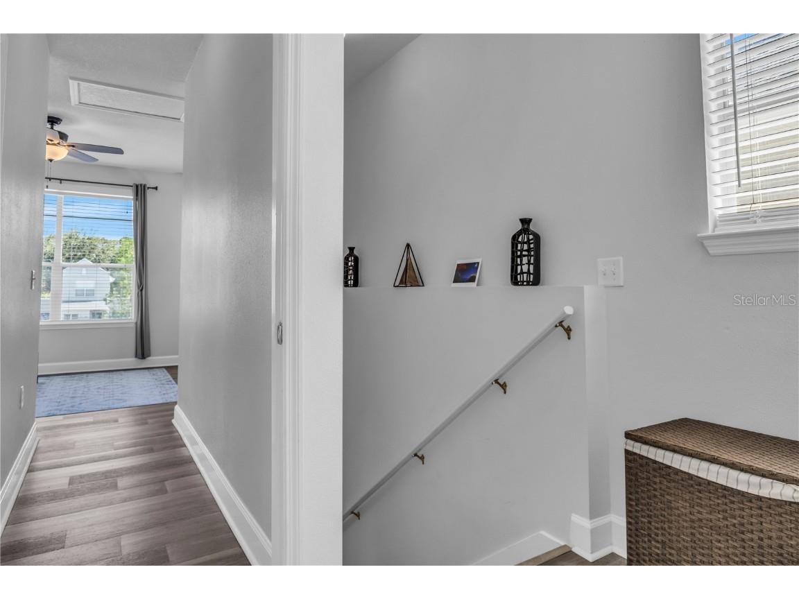 4703 Jennings Bay Court Tampa FL 33611 TB8442303 image26