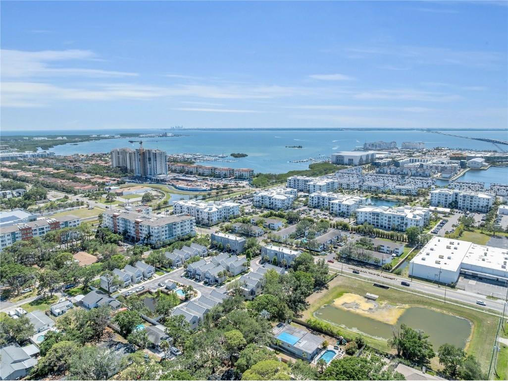 4703 Jennings Bay Court Tampa FL 33611 TB8442303 image4
