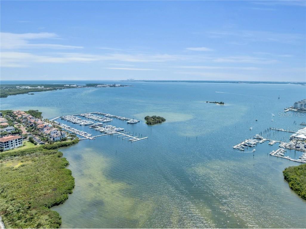 4703 Jennings Bay Court Tampa FL 33611 TB8442303 image7