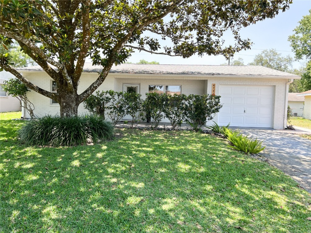 4703 Larch Drive Zephyrhills FL 33542 T3444083 image1