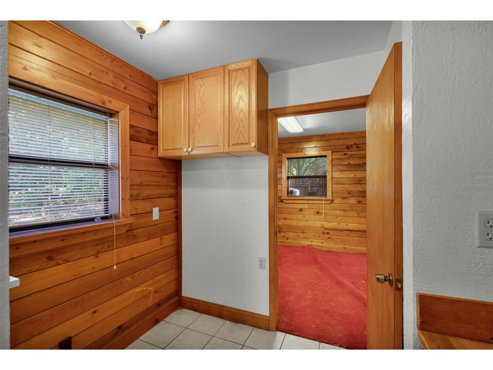 4703 Meadowland Drive Mount Dora FL 32757 C7521785 image13