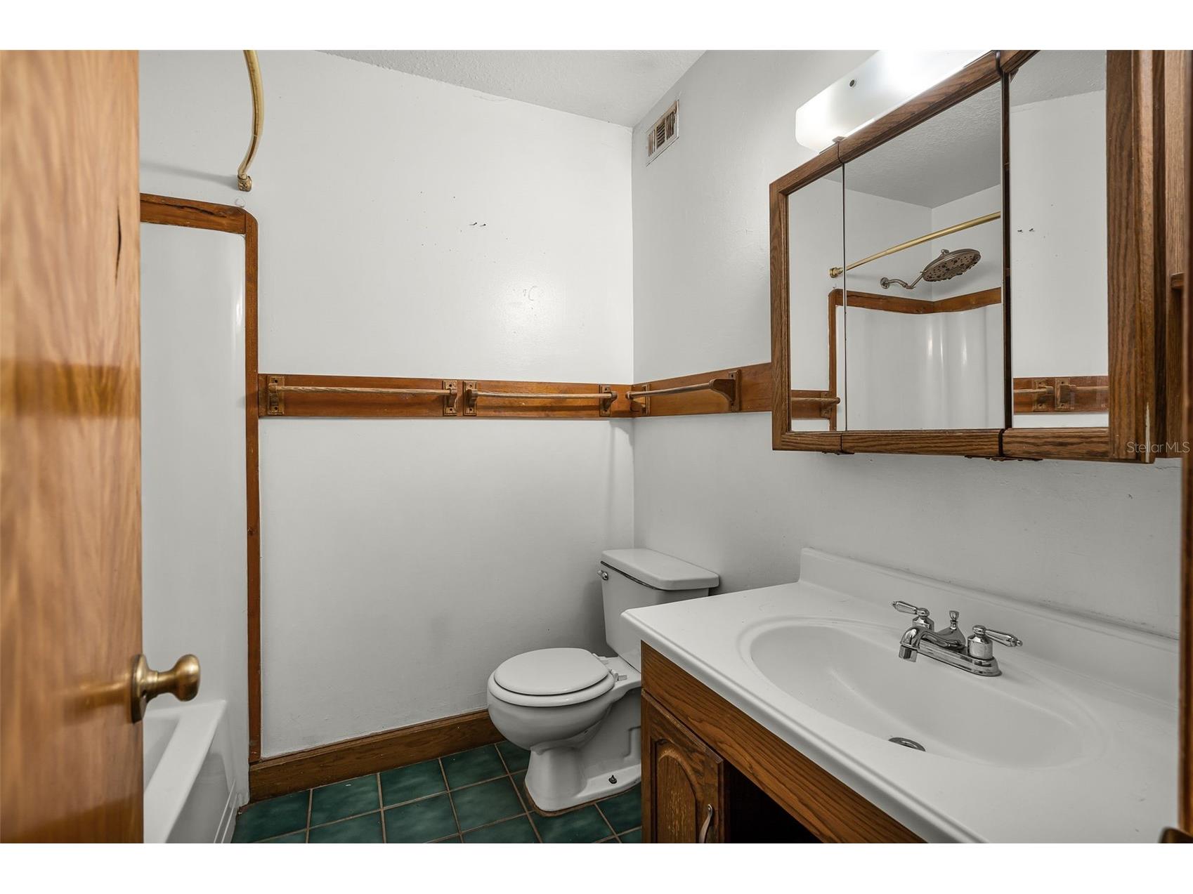 4703 Meadowland Drive Mount Dora FL 32757 C7521785 image16