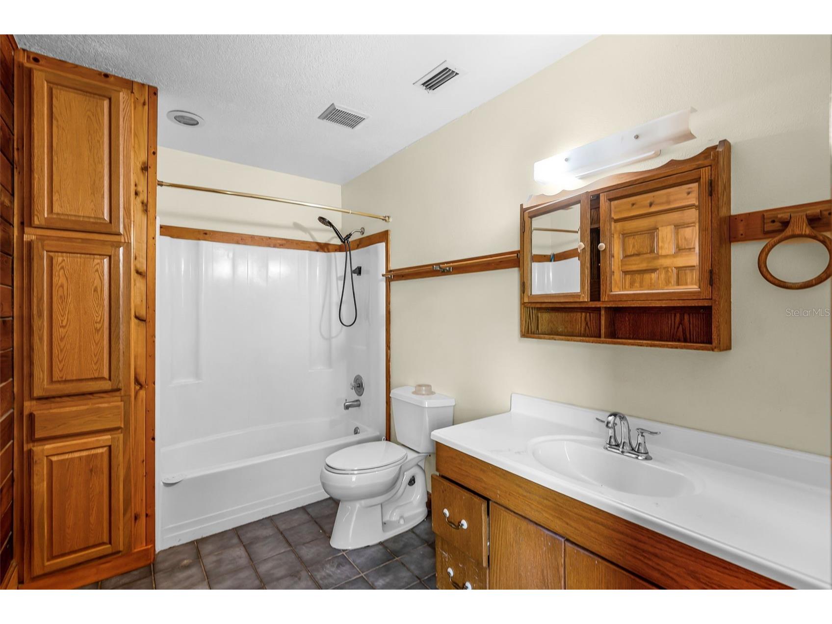 4703 Meadowland Drive Mount Dora FL 32757 C7521785 image19