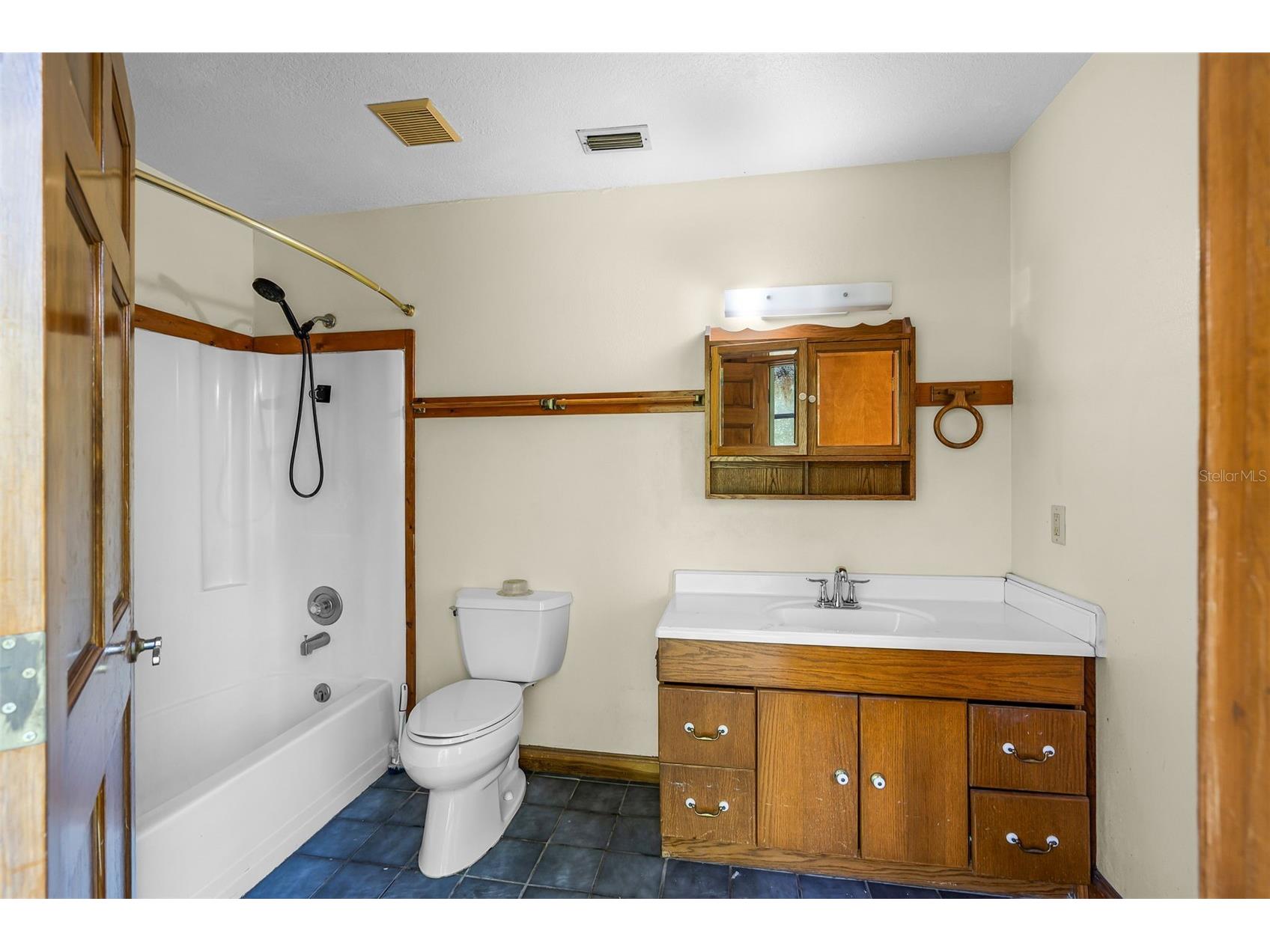 4703 Meadowland Drive Mount Dora FL 32757 C7521785 image20