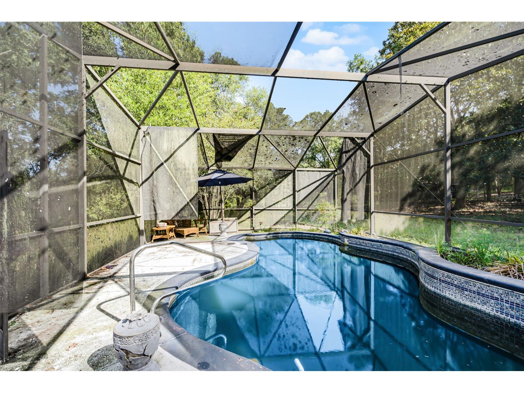 4703 Meadowland Drive Mount Dora FL 32757 C7521785 image23