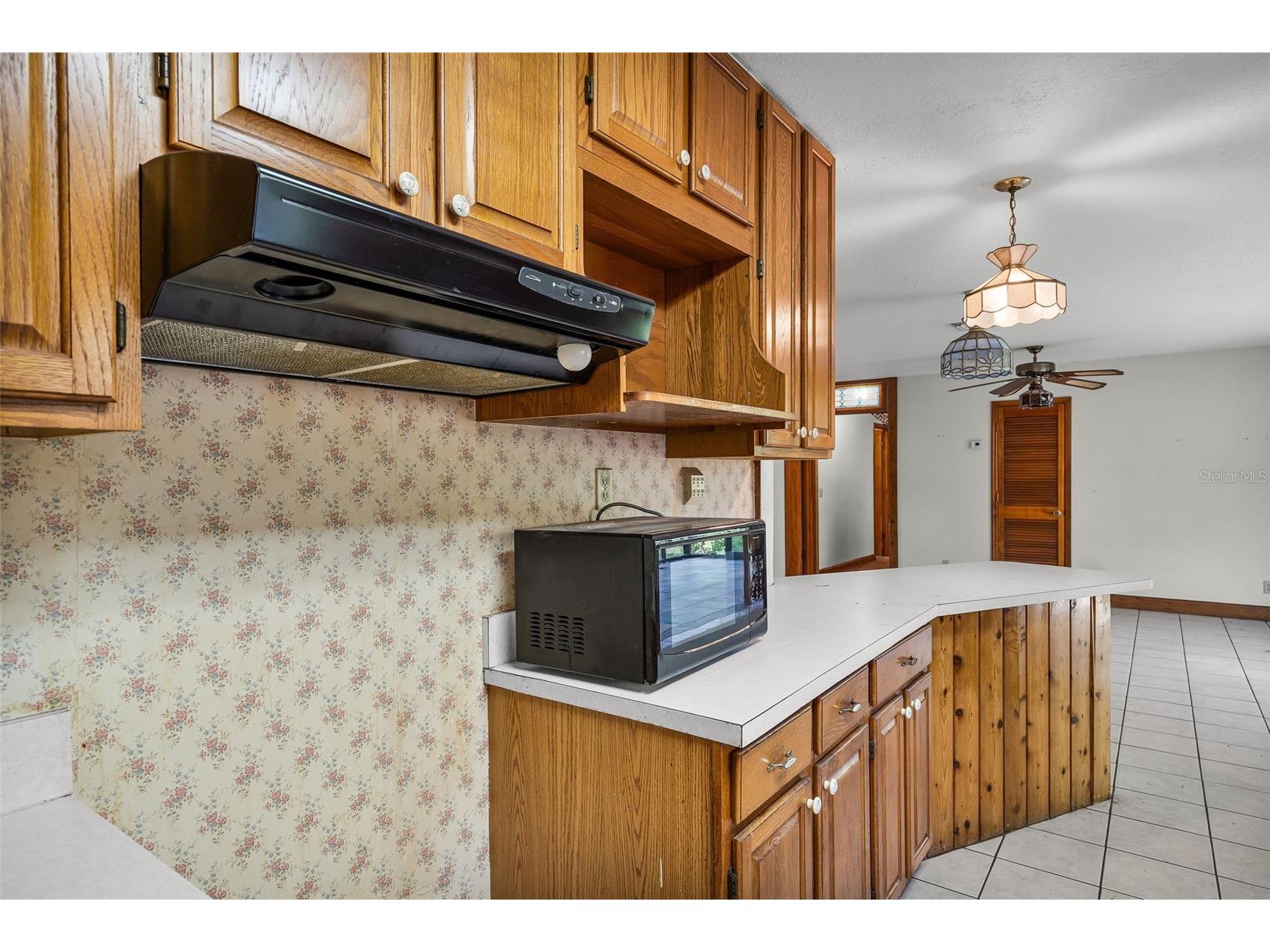 4703 Meadowland Drive Mount Dora FL 32757 C7521785 image29