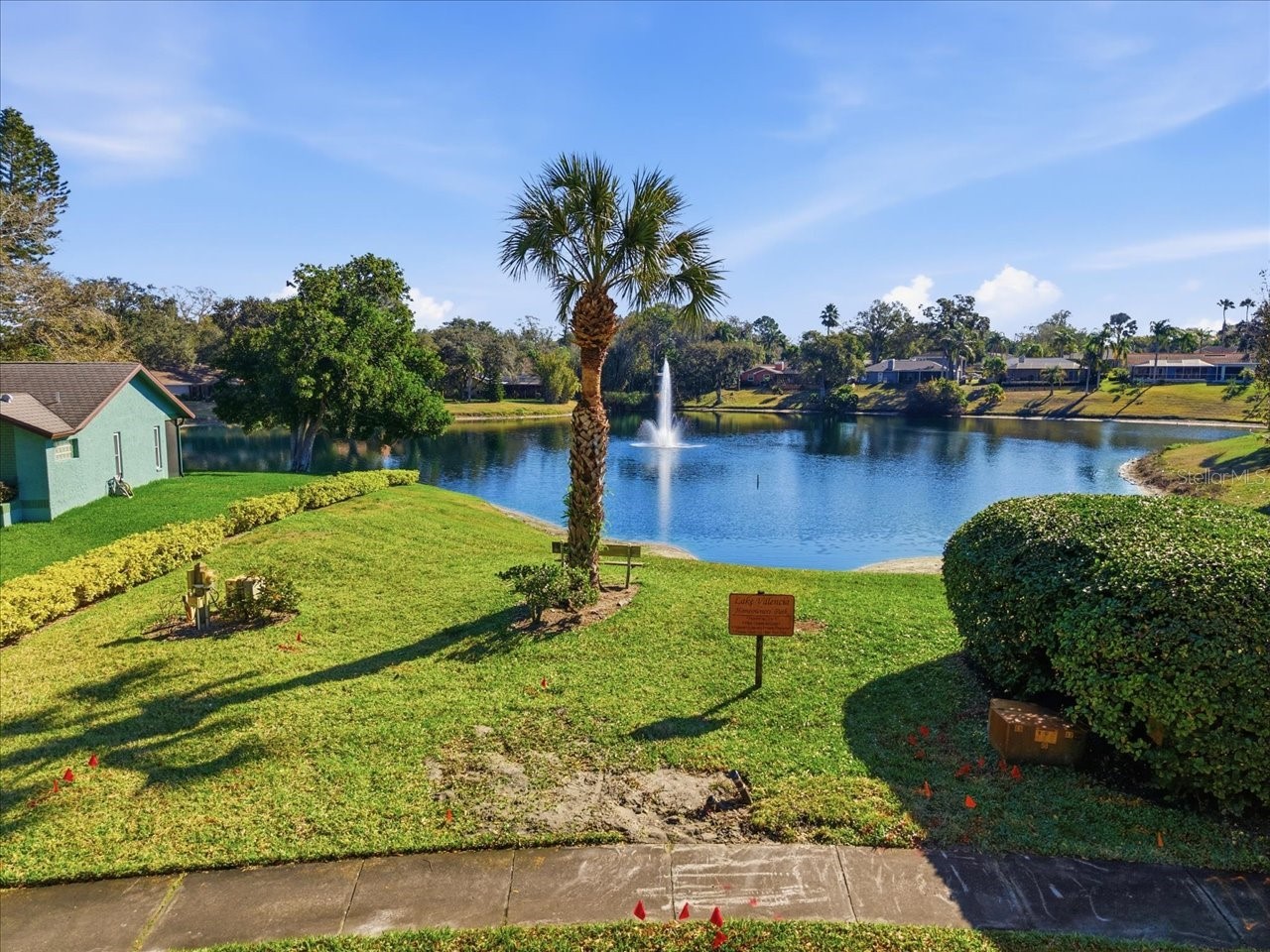 4703 Orange Grove Way Palm Harbor FL 34684 TB8471423 image59