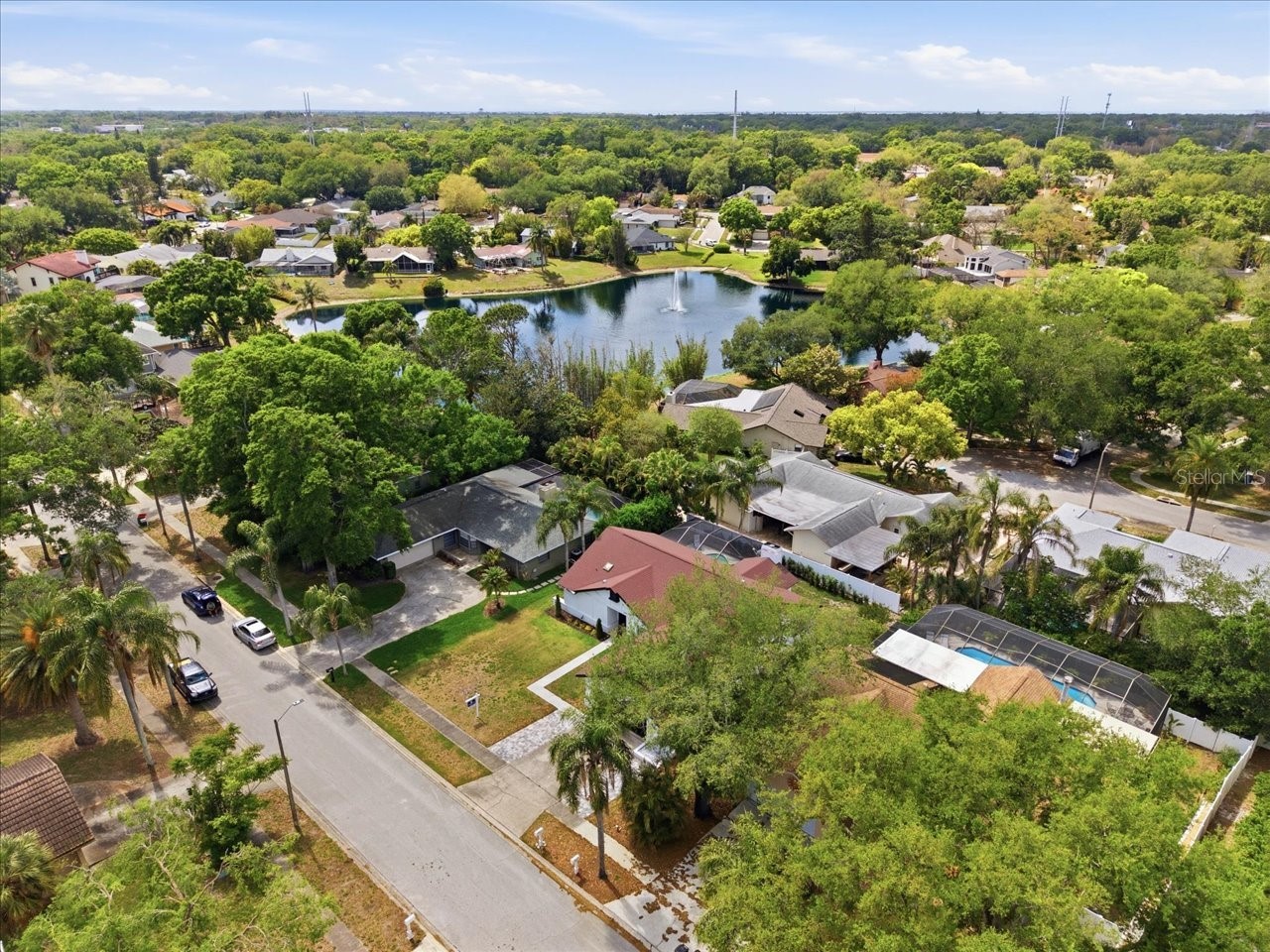 4703 Orange Grove Way Palm Harbor FL 34684 TB8471423 image6