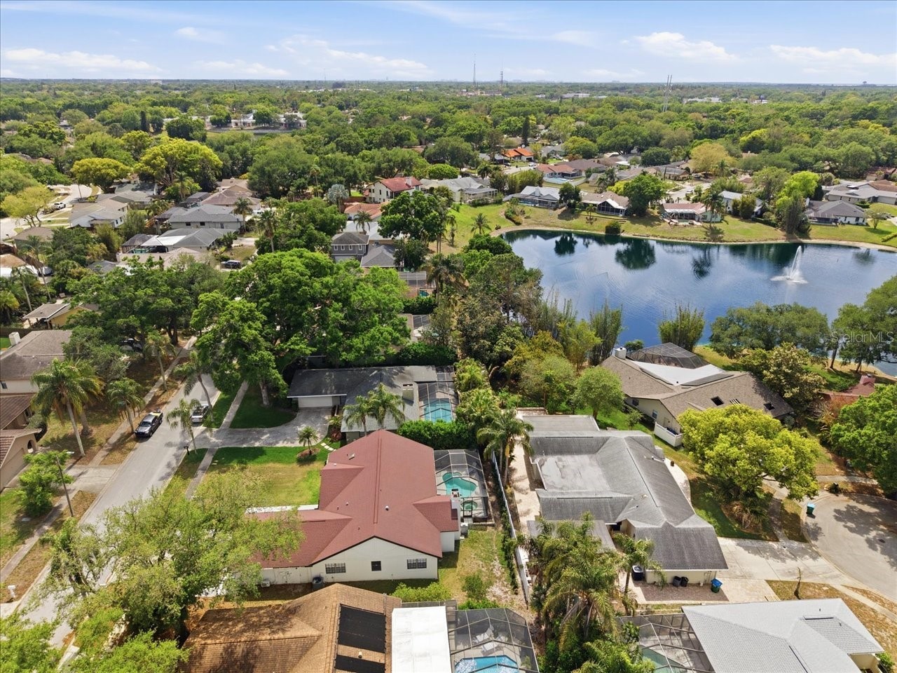 4703 Orange Grove Way Palm Harbor FL 34684 TB8471423 image7
