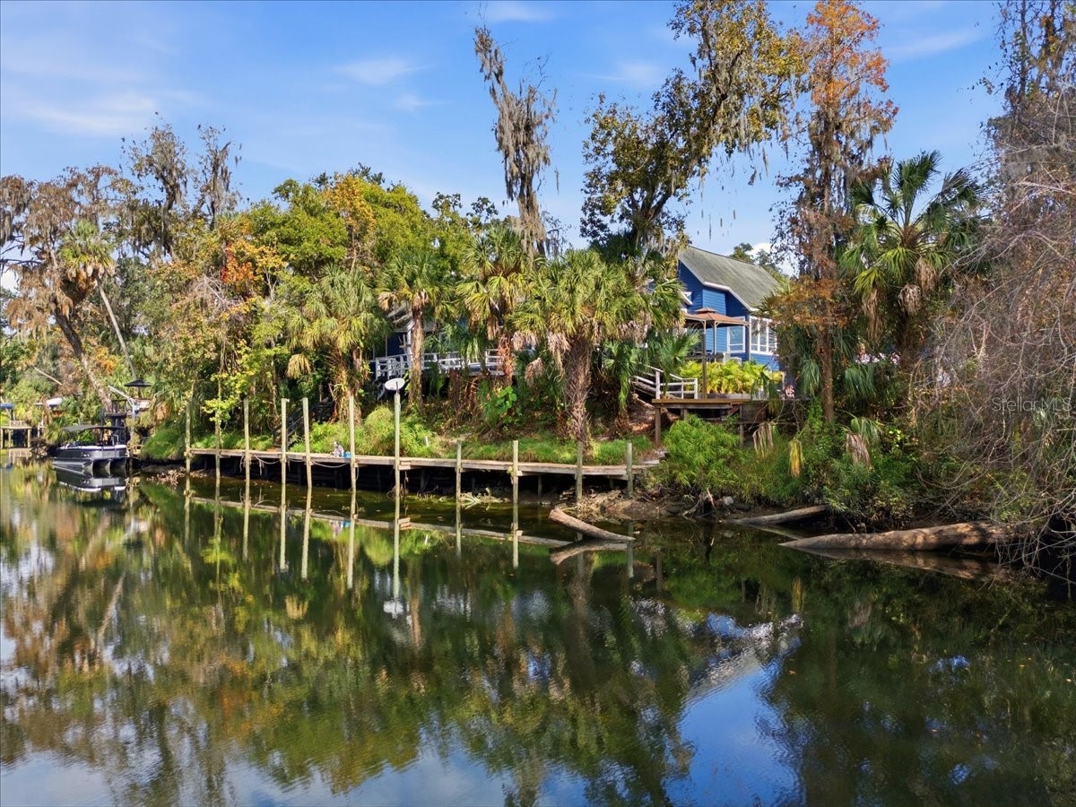 4703 Rambling River Road Brandon FL 33511 L4958322 image4