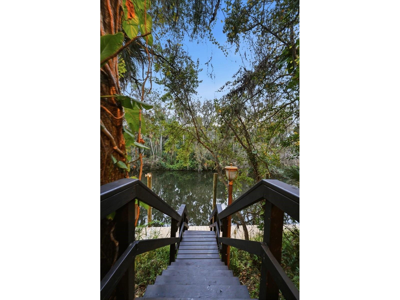 4703 Rambling River Road Brandon FL 33511 L4958322 image56