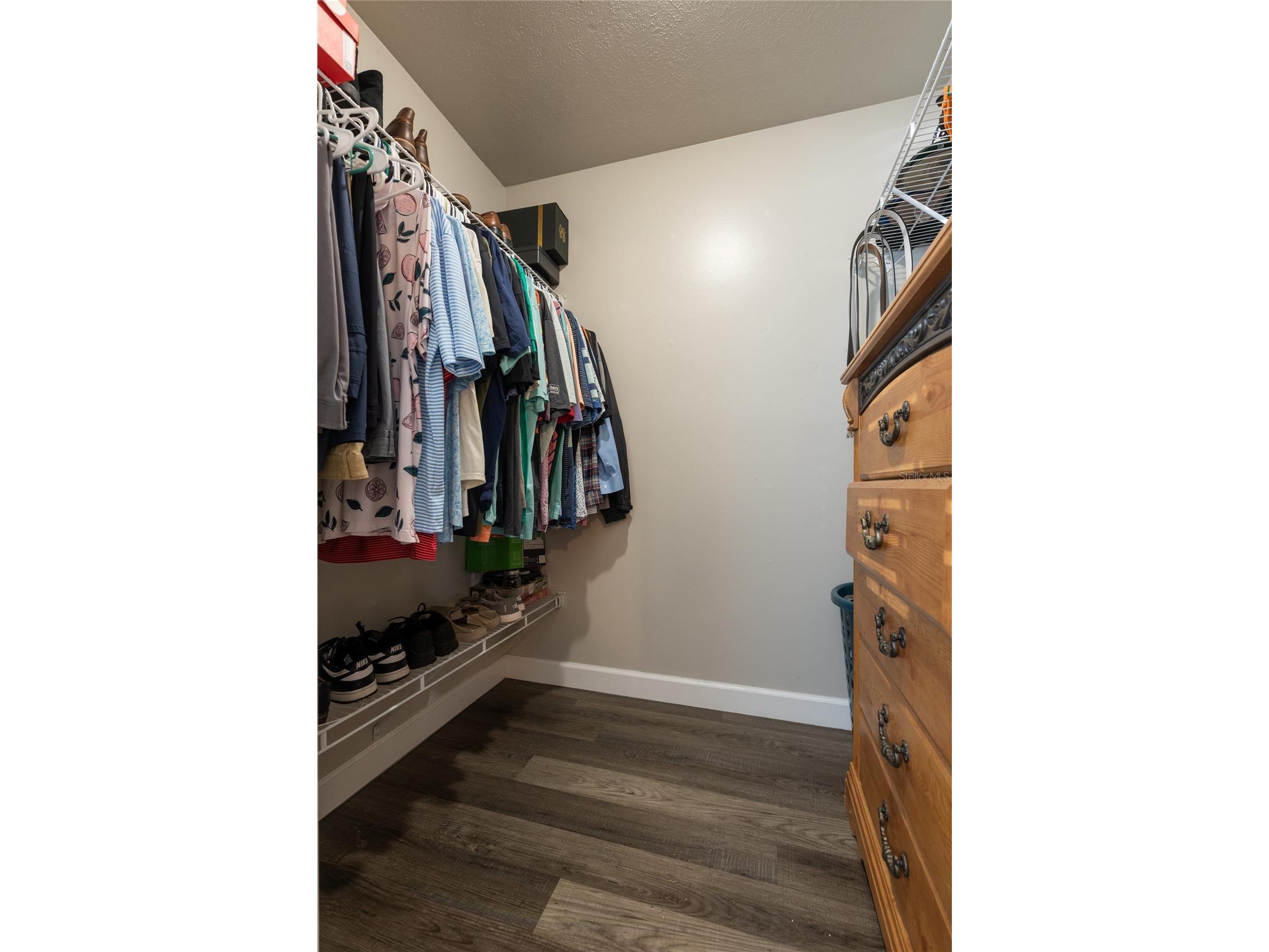 4703 Serena Drive Tampa FL 33617 TB8507735 image13