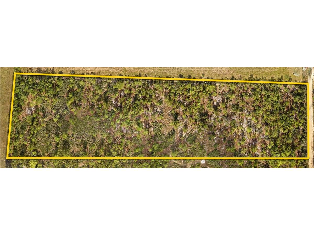 47030 Bermont Road Punta Gorda FL 33982 A4674162 image8