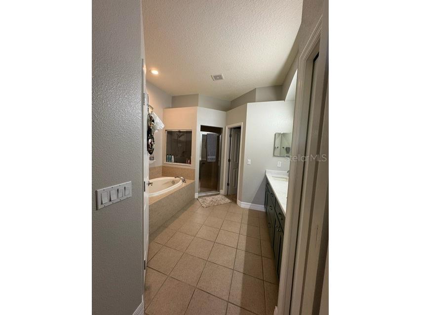 4704 Casswell Drive New Port Richey FL 34652 W7886929 image17
