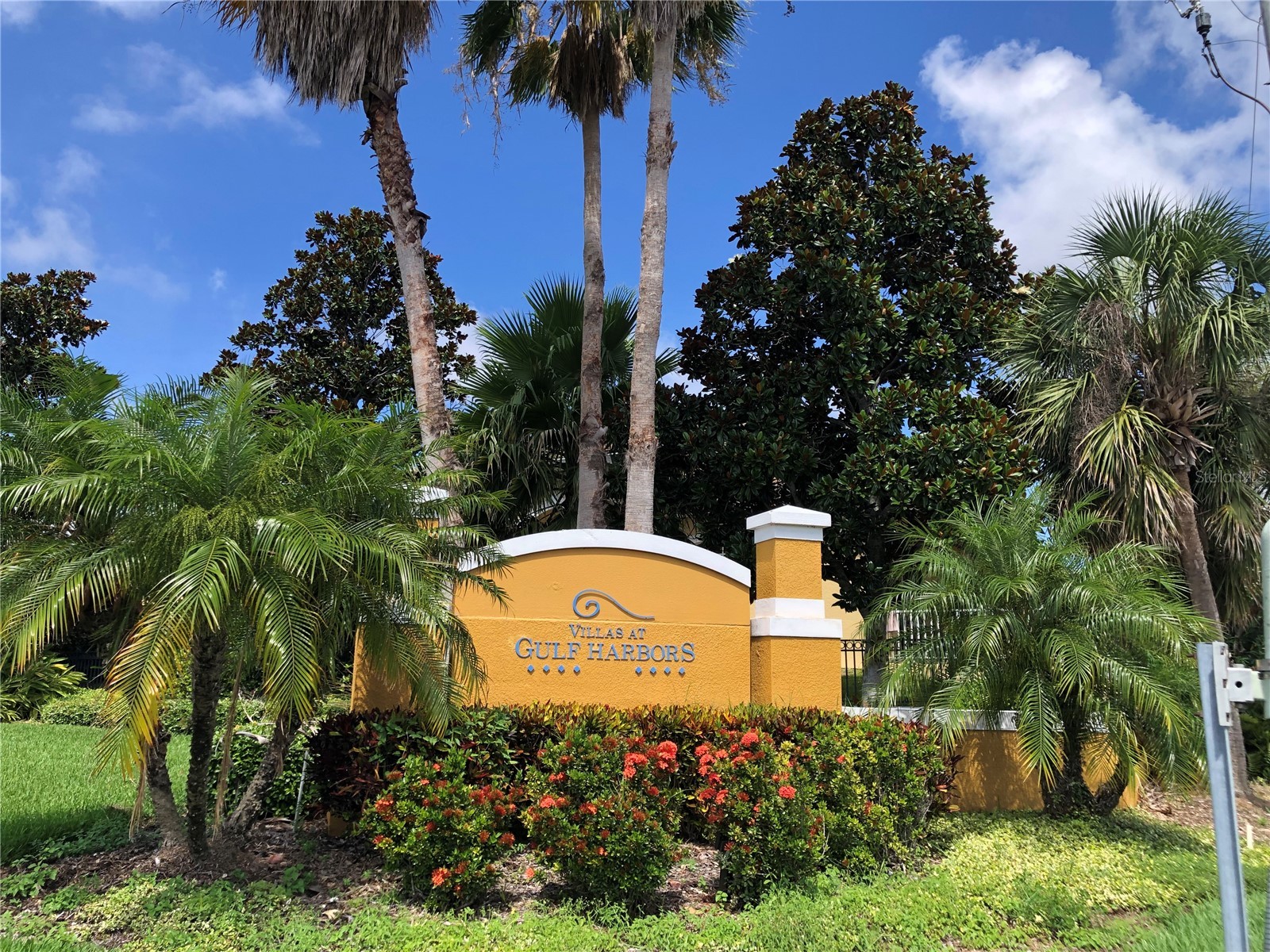 4704 Casswell Drive New Port Richey FL 34652 W7886929 image2