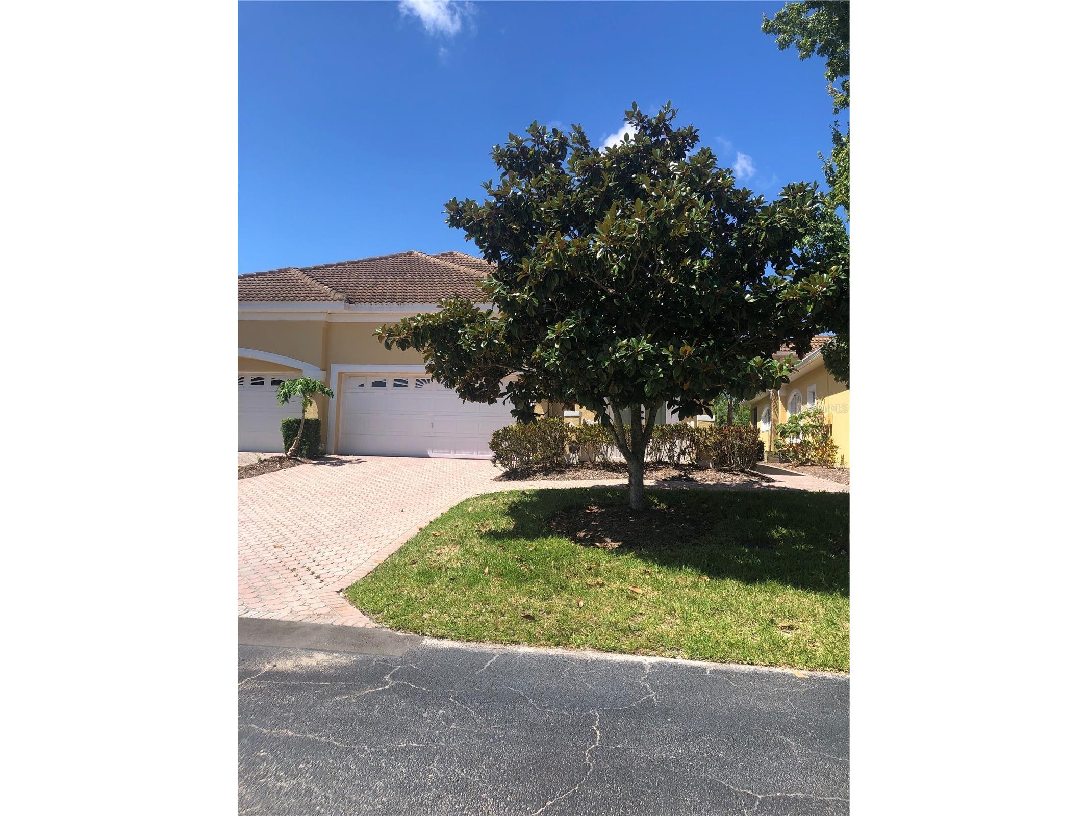 4704 Casswell Drive New Port Richey FL 34652 W7886929 image3