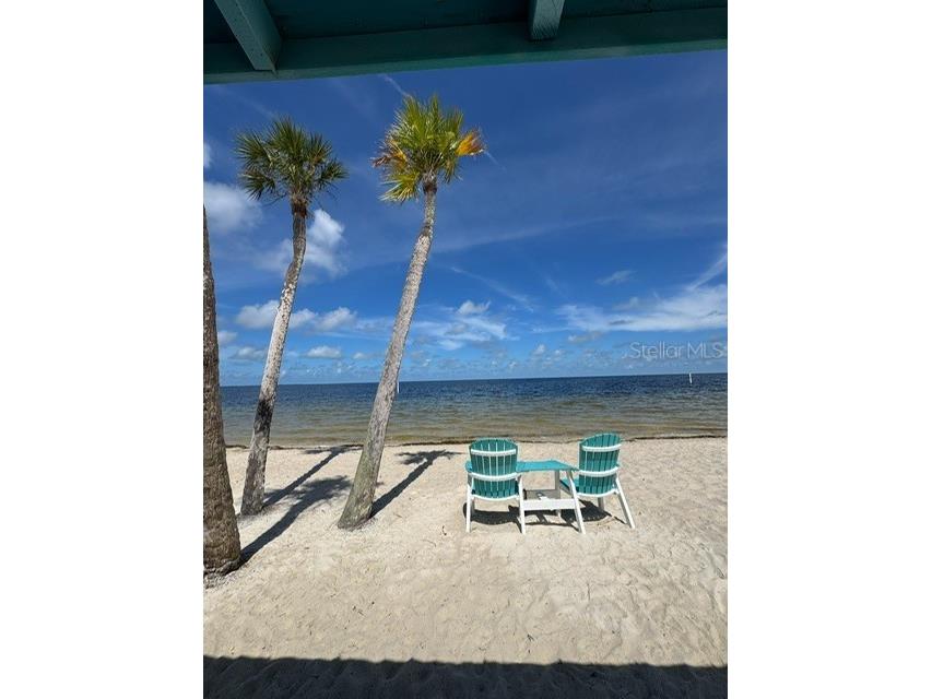 4704 Casswell Drive New Port Richey FL 34652 W7886929 image31