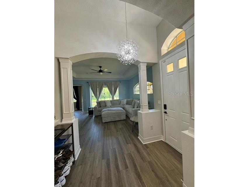 4704 Casswell Drive New Port Richey FL 34652 W7886929 image6