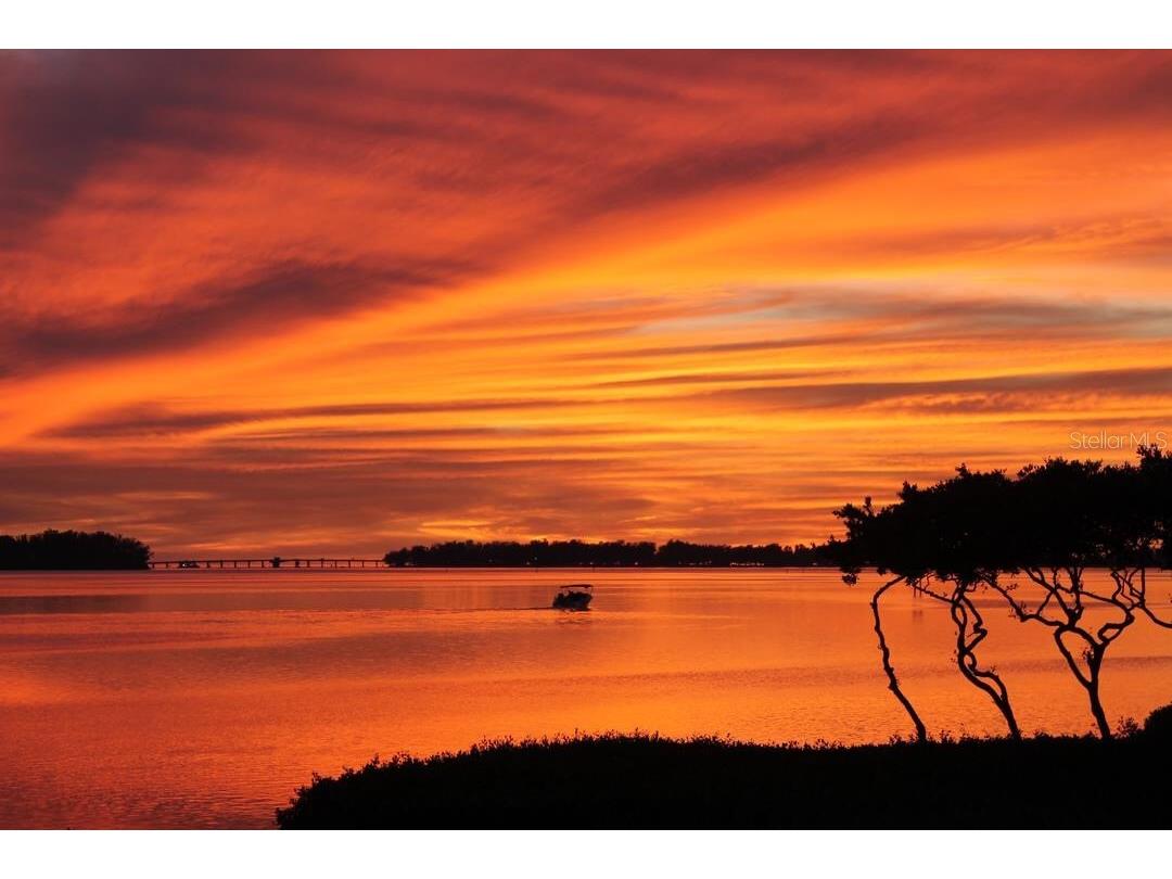 4704 Independence Drive #4704 Bradenton FL 34210 A4683811 image3