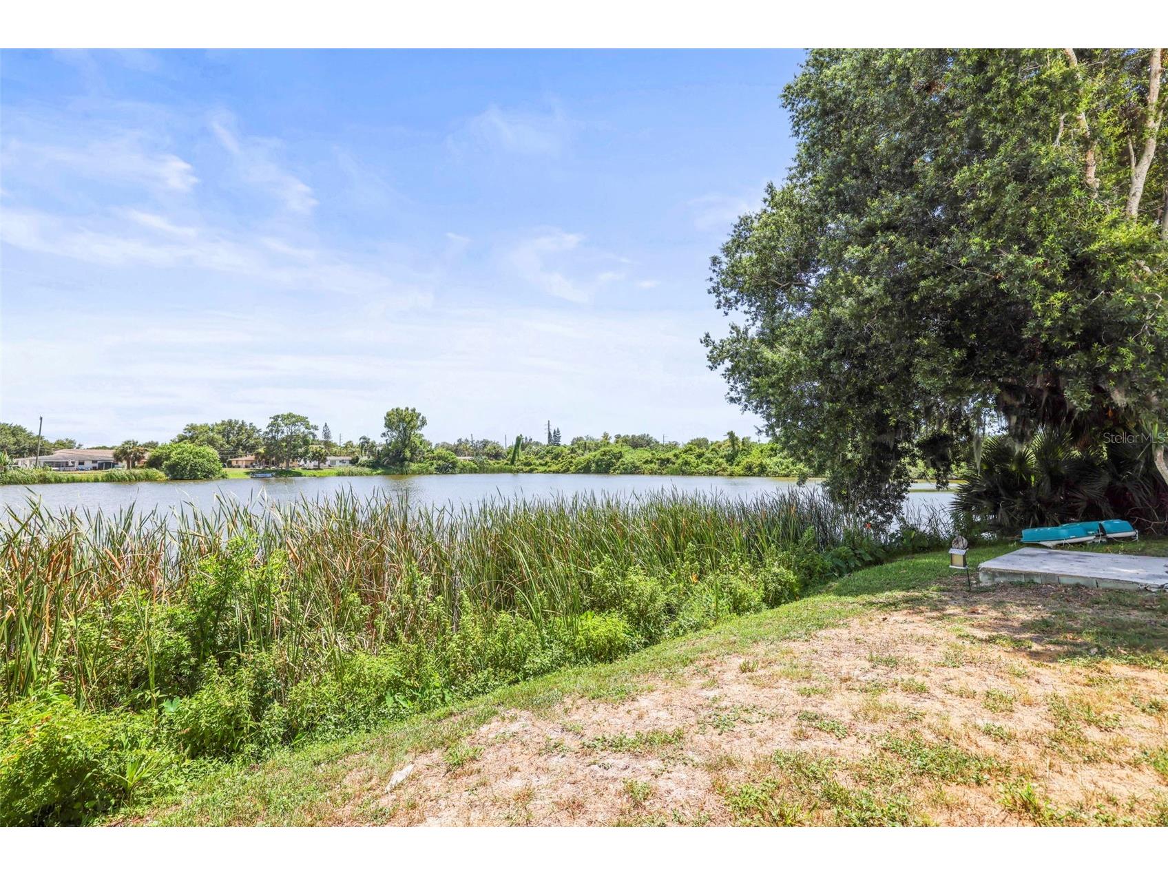 4704 Koala Drive Holiday FL 34690 TB8519787 image22