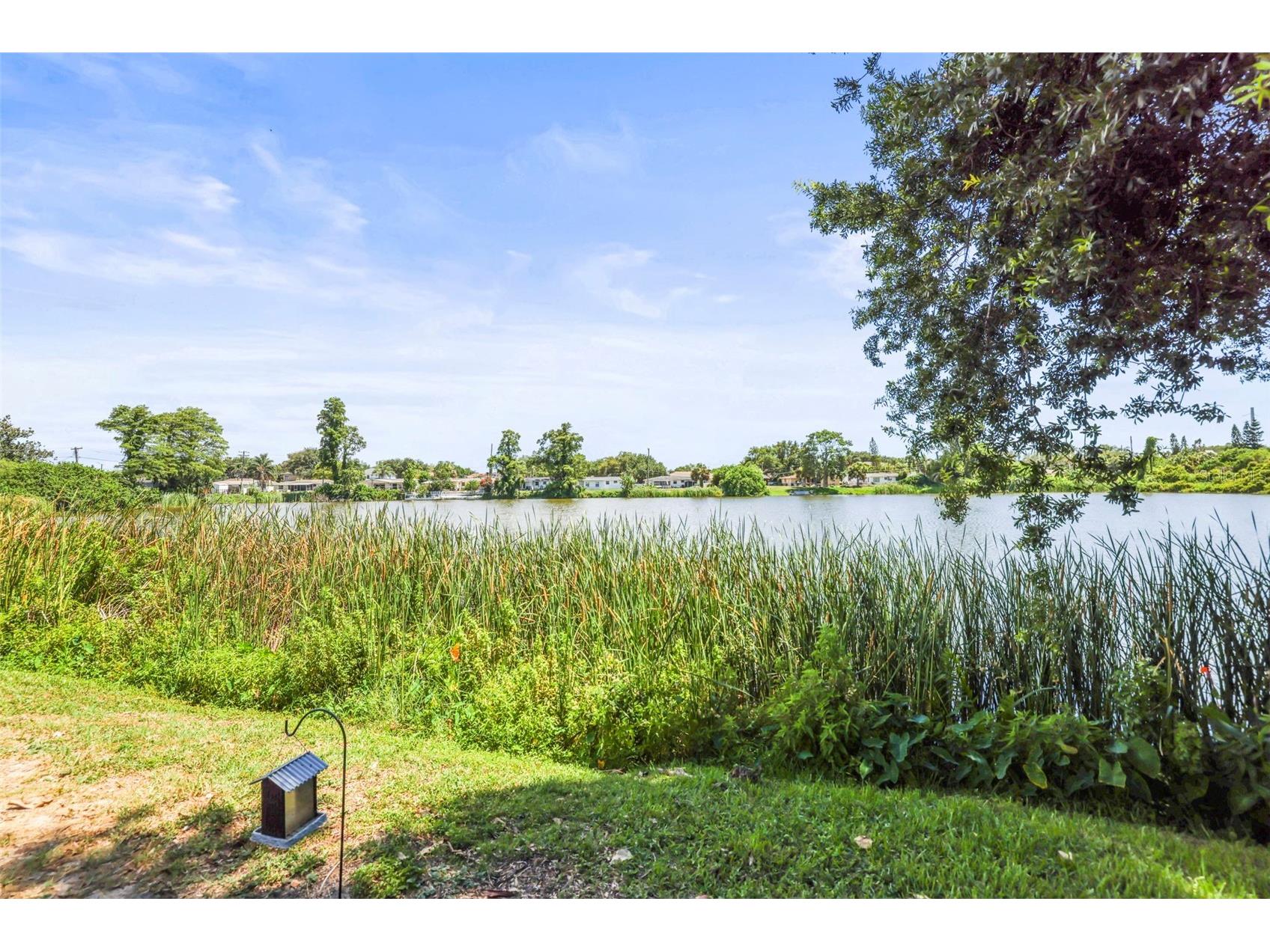 4704 Koala Drive Holiday FL 34690 TB8519787 image24