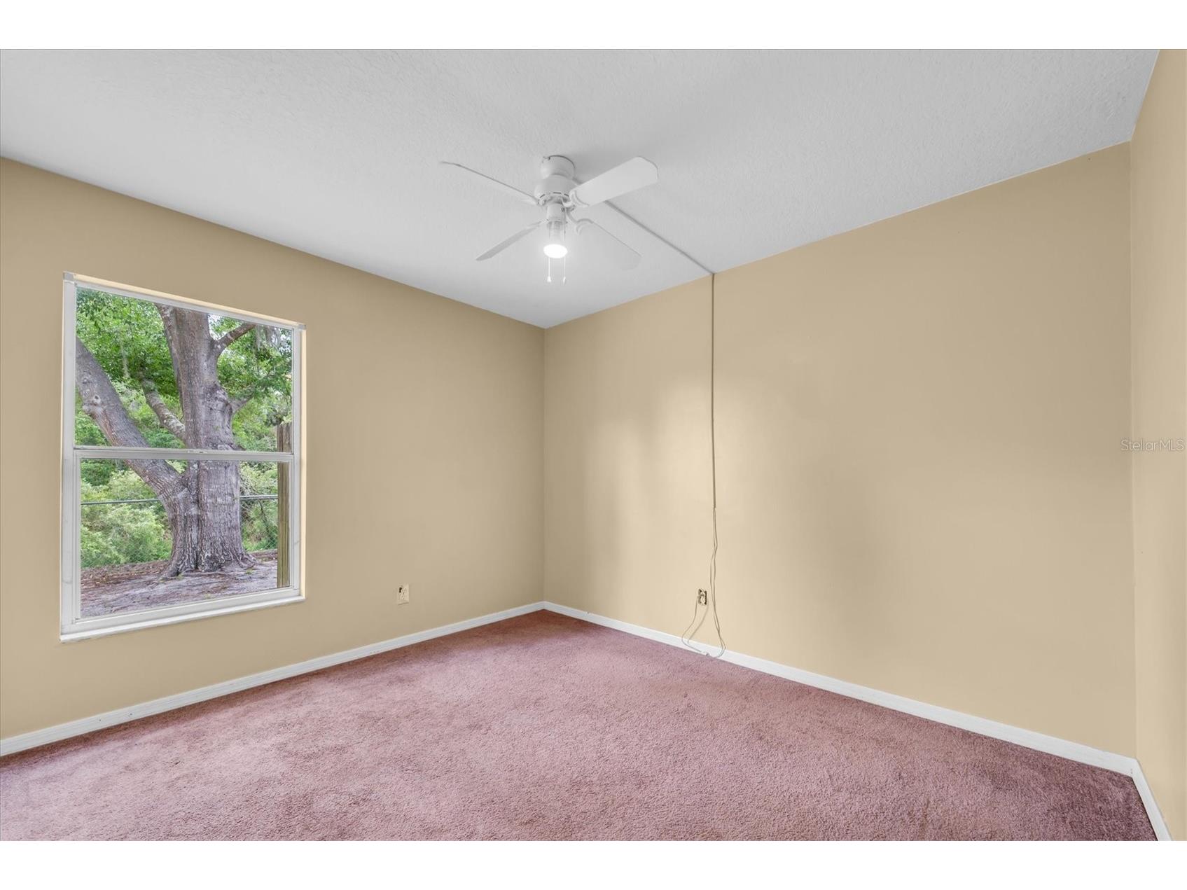 4704 Lighterwood Way Valrico FL 33596 TB8492970 image25