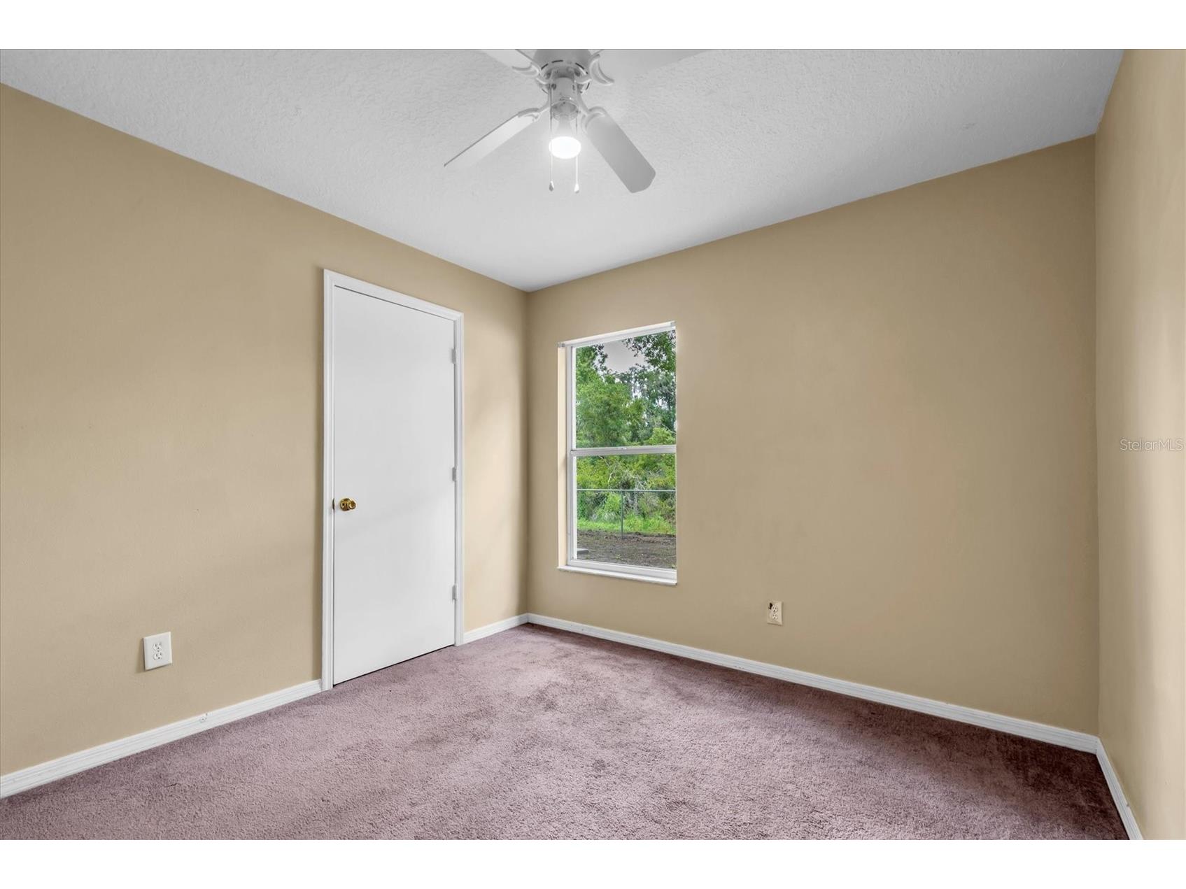 4704 Lighterwood Way Valrico FL 33596 TB8492970 image26