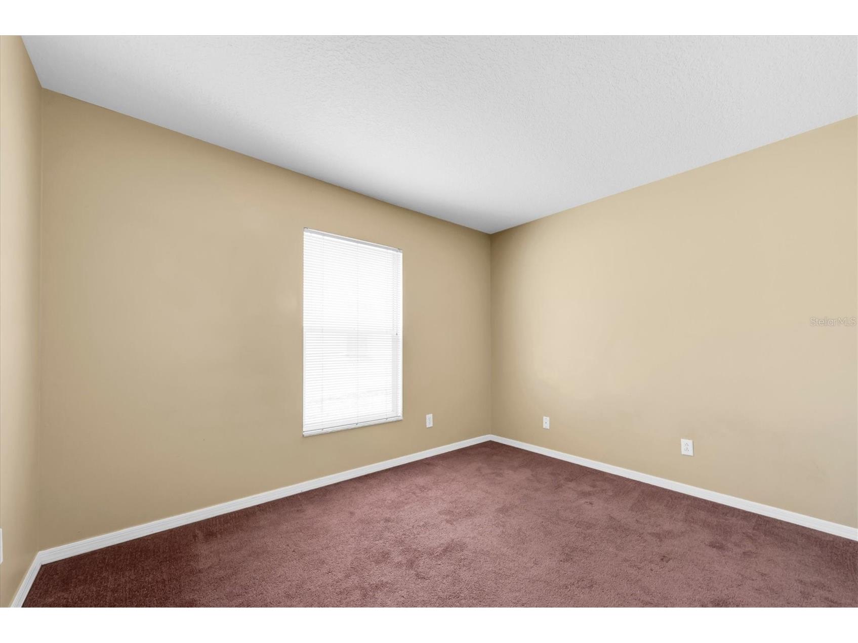 4704 Lighterwood Way Valrico FL 33596 TB8492970 image29