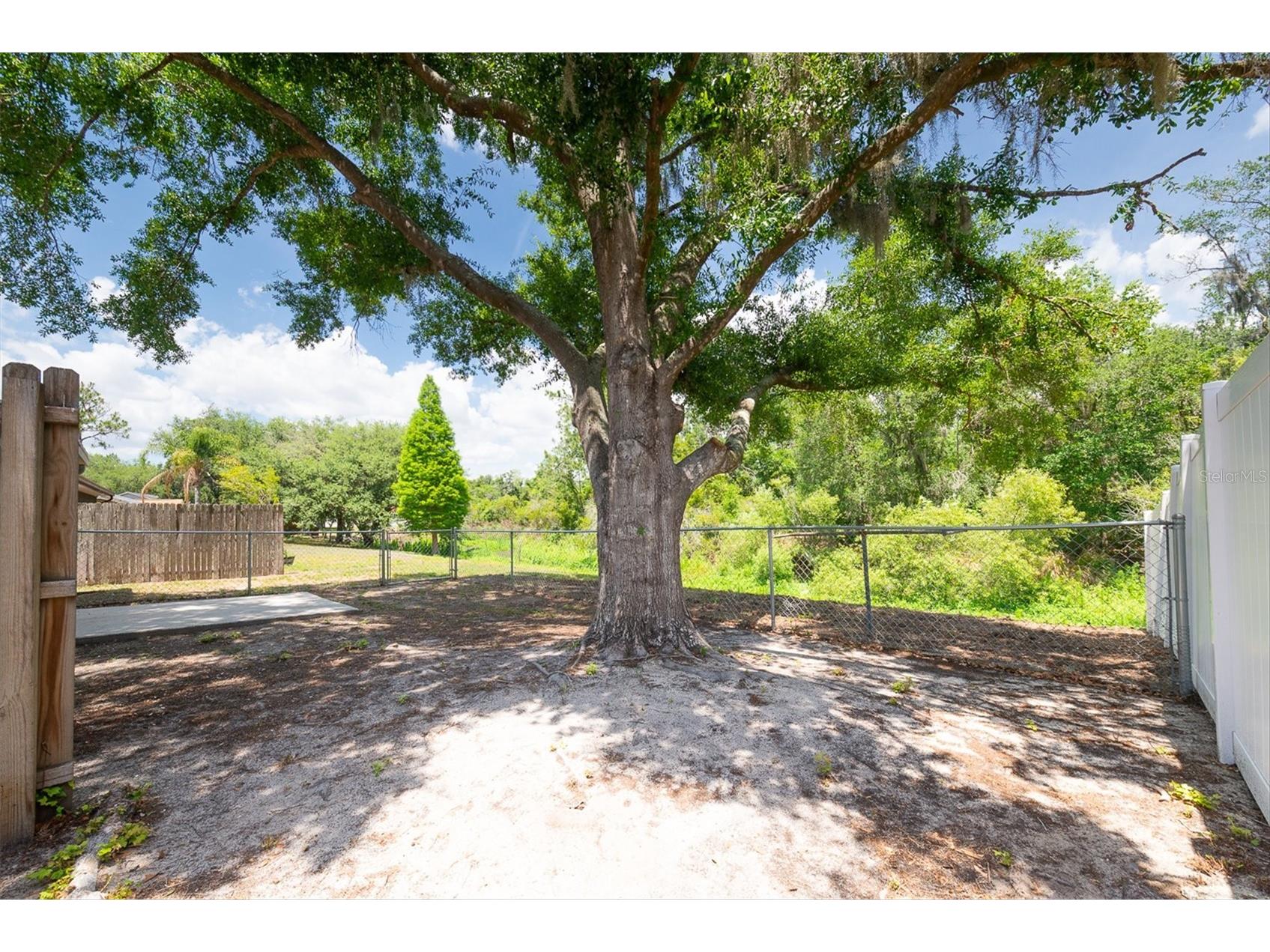 4704 Lighterwood Way Valrico FL 33596 TB8492970 image34