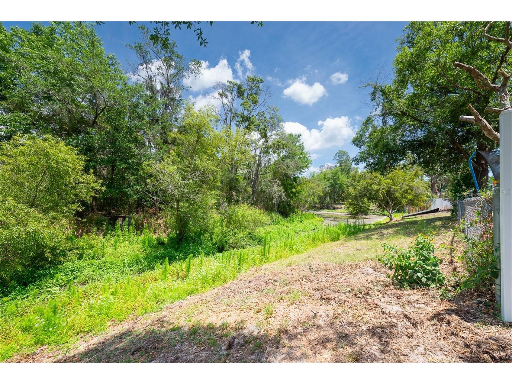 4704 Lighterwood Way Valrico FL 33596 TB8492970 image37