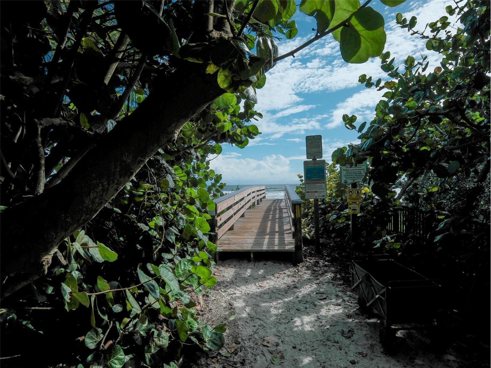 4704 Van Kleeck Drive New Smyrna Beach FL 32169 NS1086874 image61