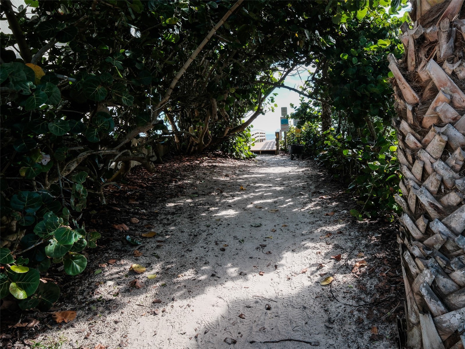 4704 Van Kleeck Drive New Smyrna Beach FL 32169 NS1086874 image62