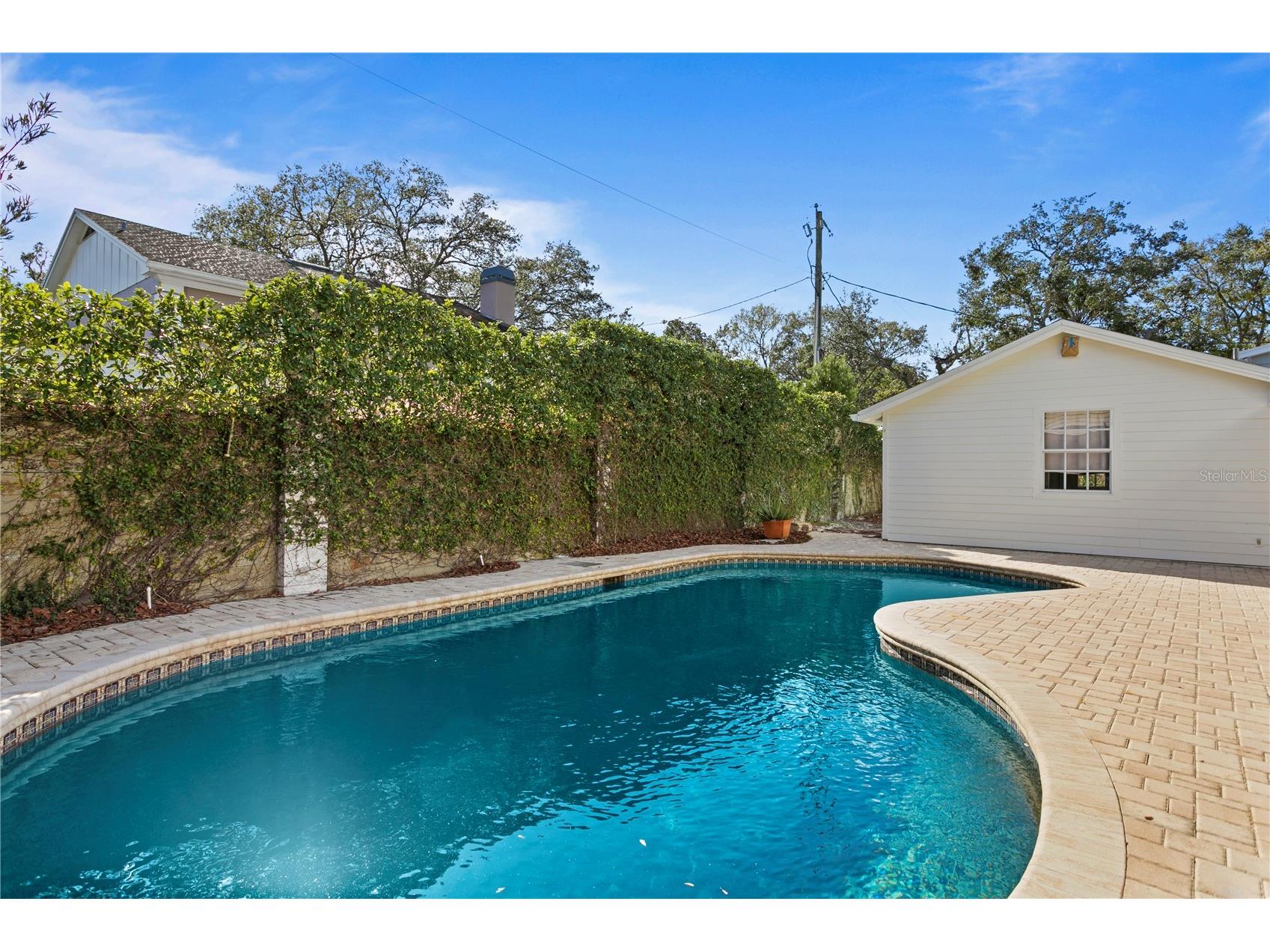 4704 W Brookwood Drive Tampa FL 33629 TB8503396 image47