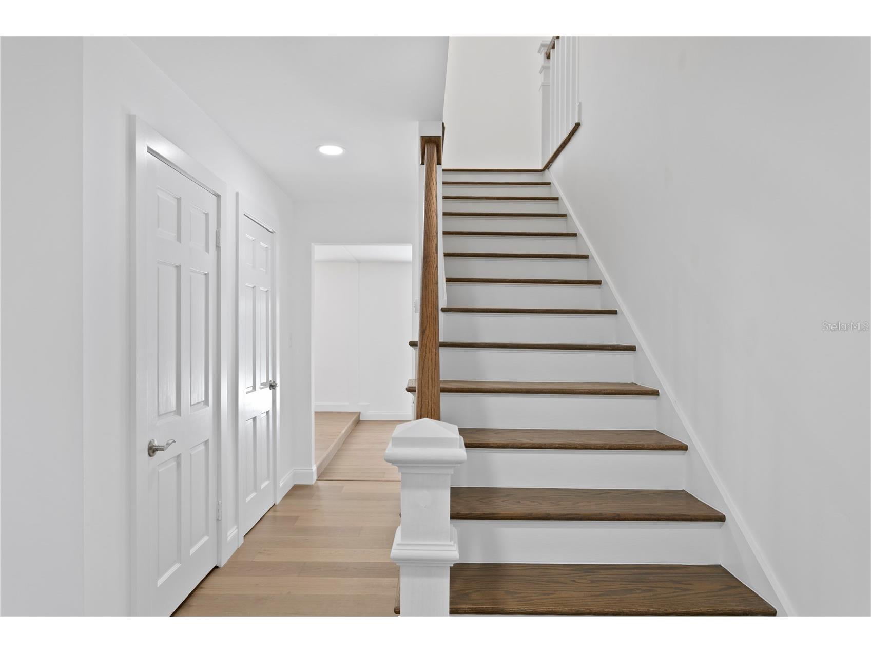 4704 W Brookwood Drive Tampa FL 33629 TB8503396 image8