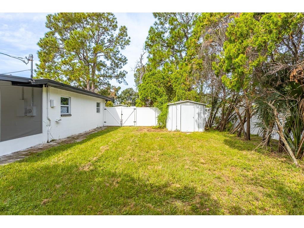 4704 W Chapin Avenue Tampa FL 33611 TB8429326 image19