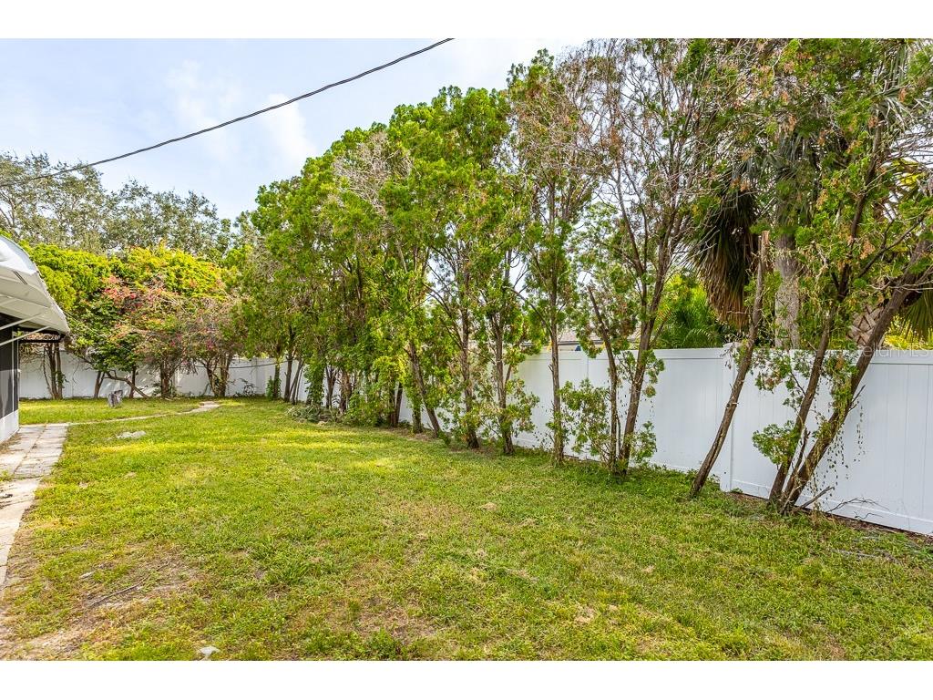 4704 W Chapin Avenue Tampa FL 33611 TB8429326 image21